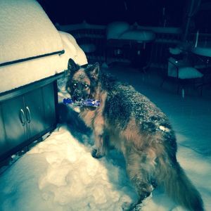 Meet your Posher, Jewell